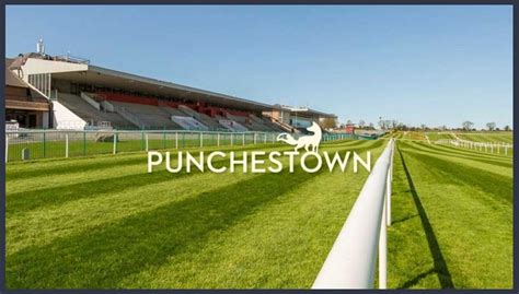 Punchestown Races .